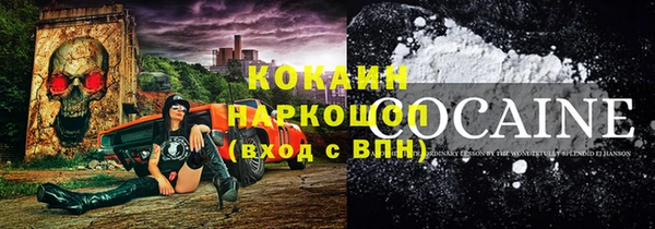мдпв Краснослободск
