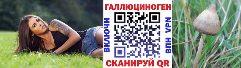 Галлюциногенные грибы MAGIC MUSHROOMS  купить   Кондрово 