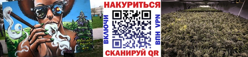 Бошки Шишки план Кондрово
